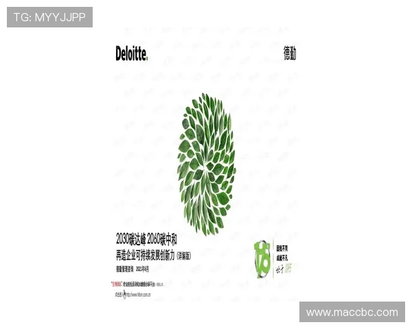 《以Knight中路为核心的战术解析与发展趋势探讨》