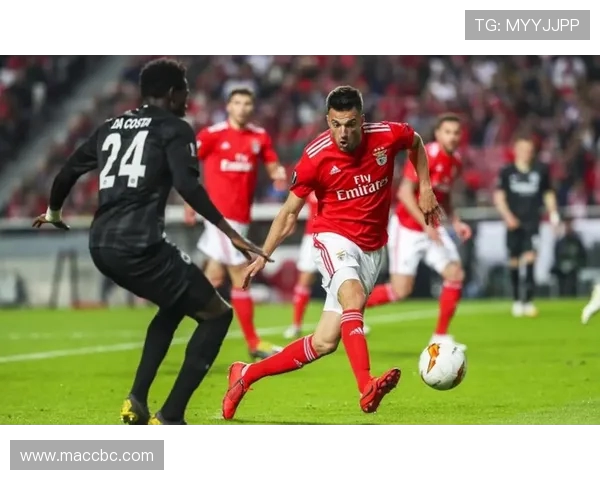 本菲卡再度崛起打造欧洲绿茵青春风暴引领葡萄牙足球新纪元