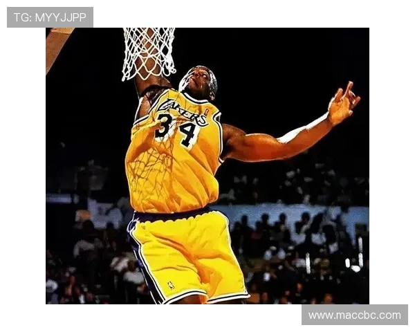 沙奎尔奥尼尔的传奇人生与篮球王朝的崛起及他场外的商业帝国故事